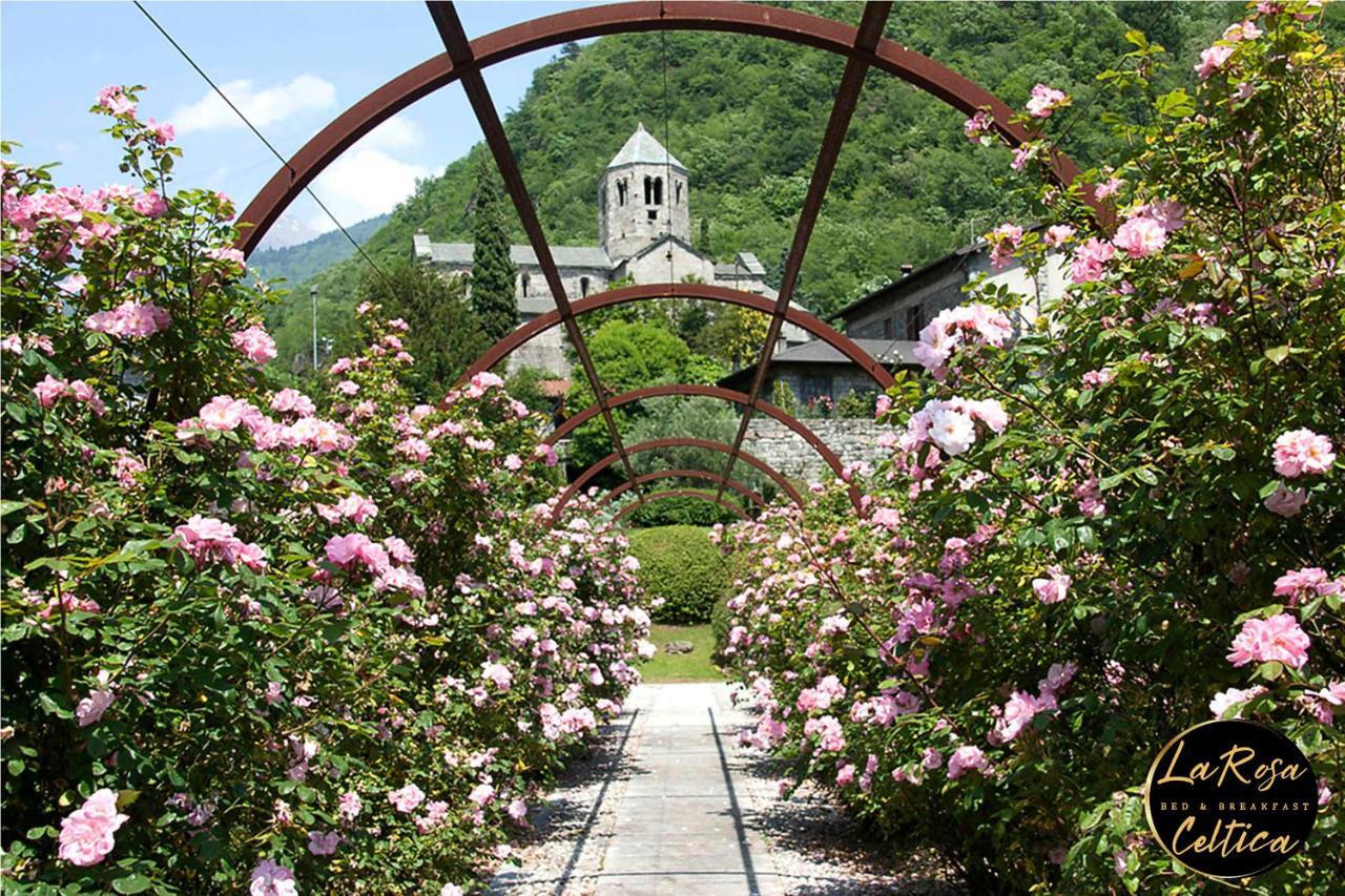 B&B La Rosa Celtica Capo di Ponte 외부 사진